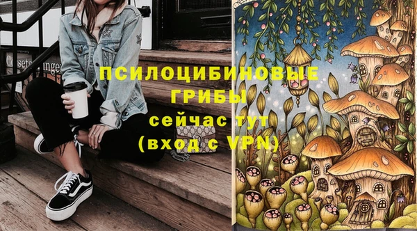 мет Белокуриха