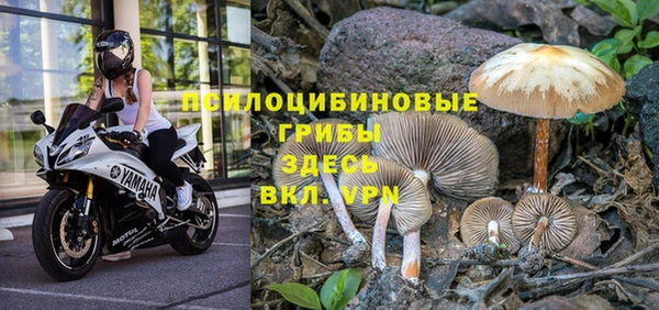 тгк Белоозёрский