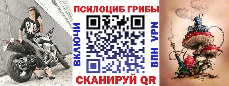 купить   Котово  Псилоцибиновые грибы Psilocybe 